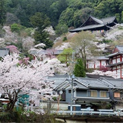 Sakurai, Nara, Japan