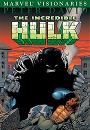 The Incredible Hulk Visionaries: Peter David Vol 1 (Peter David)