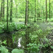 Tummonds State Nature Preserve