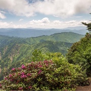 Great Smoky Mountains National Park