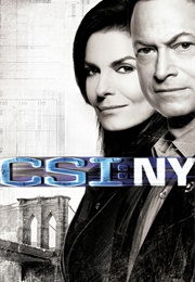 CSI NY Season 8 (2011)