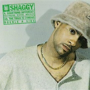 Something Different - Shaggy