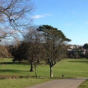 Singleton Park, Swansea