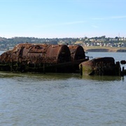 Wreckage of the S.S. Garden City