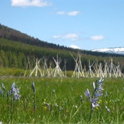 Nez Perce National Historical Park