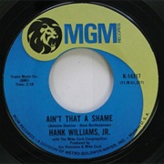 Ain&#39;t That a Shame - Hank Williams Jr.