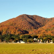 Tsubame, Niigata