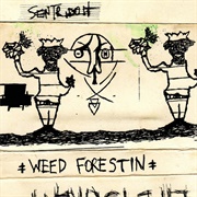 Weed Forestin&#39; (Sebadoh, 1990)