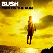 Man on the Run (Bush, 2014)