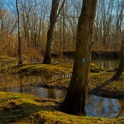 Quinnipiac River State Park