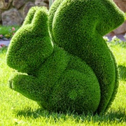 Topiary