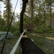 Compound Bow (Need Shovel)