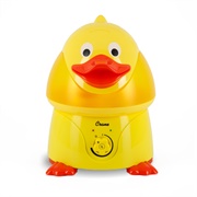 Duck Humidifier