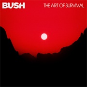 The Art of Survival (Bush, 2022)