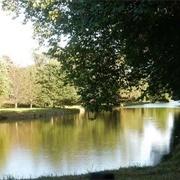 Duck Pond