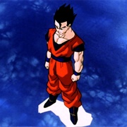 263. a Whole New Gohan