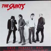 This Perfect Day - Saints