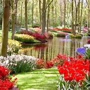 Aburi Botanical Gardens, Ghana