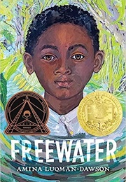 Freewater (Amina Luqman- Dawson)