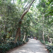 Parque Trianon