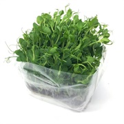 Snowpea Shoots