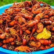 Crawdads