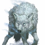 Wolves (3)