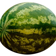 Whole Watermelon