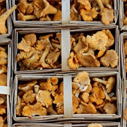 Dried Chanterelle