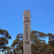 The World&#39;s Tallest Bin