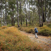 The Bibbulmun Track, Australia