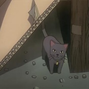 S1.E8: Missing Cat