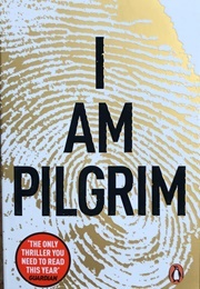 I Am Pilgrim (Hayes, Terry)