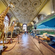 Naturhistorisches Museum