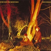 Crocodiles - Echo &amp; the Bunnymen