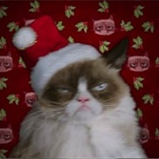 Grumpy Cat&#39;s Worst Christmas Ever