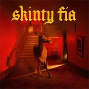 Skinty Fia - Fontaines D.C.