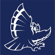 Rice Owls