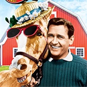 Mister Ed Season 6