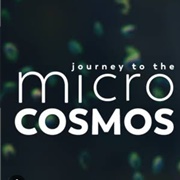 Journey to the Microcosmos