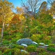 Mt. Cuba Center, Delaware