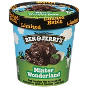 Ben &amp; Jerry&#39;s Minter Wonderland Ice Cream