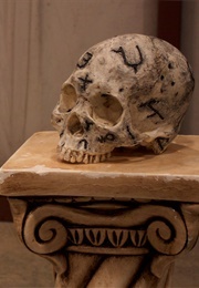 Rot Skull (Taken From Themorbidmemories on Deviantart)