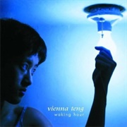 Vienna Teng - Waking Hours