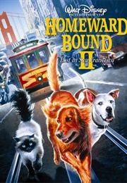 Homeward Bound II: Lost in San Fransisco (1996)