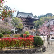 Kinokawa, Wakayama, Japan