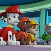 PAW Patrol, Ready for Action, Ryder, Sir!