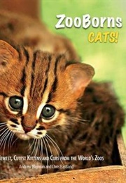 Books for Cat Lovers - Page 31