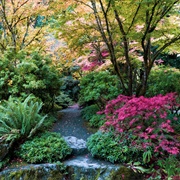 Bellevue Botanical Garden, Washington