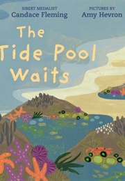 The Tide Pool Waits (Candace Fleming)